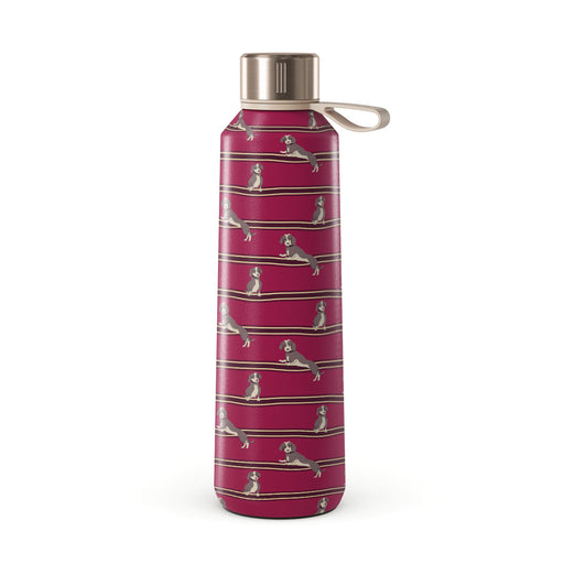 DO_05B5_W-BOTTLE_500-RG
