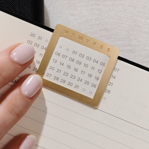 Glacial Desert - White Snakeskin Infinity Planner 10