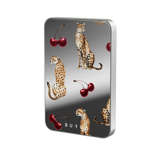 PA_01MS_HALO-MagPbank5K-SI