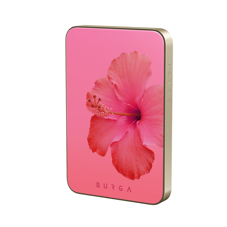 RS_02MS_MagPbank5K-GO