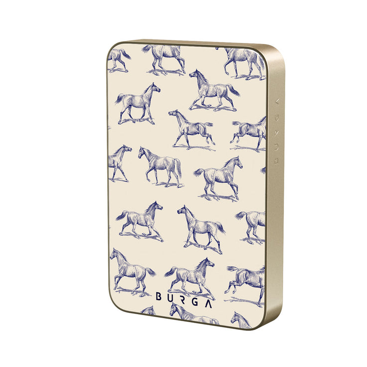 SC_04MS_MagPbank10K-GO