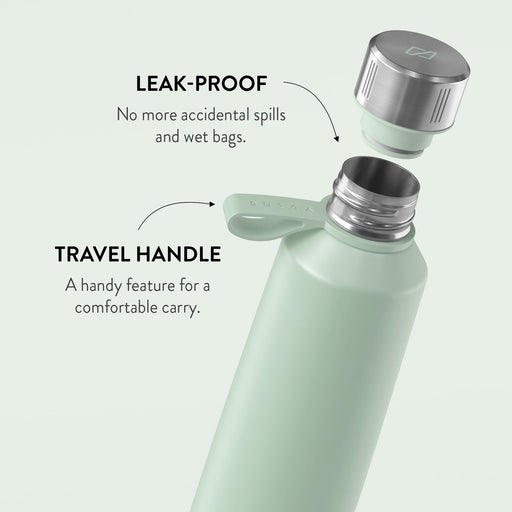 Rover Bottle Insulated (Mint Green) - VAHDAM® USA