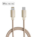 Gold / USB-C to Lightning